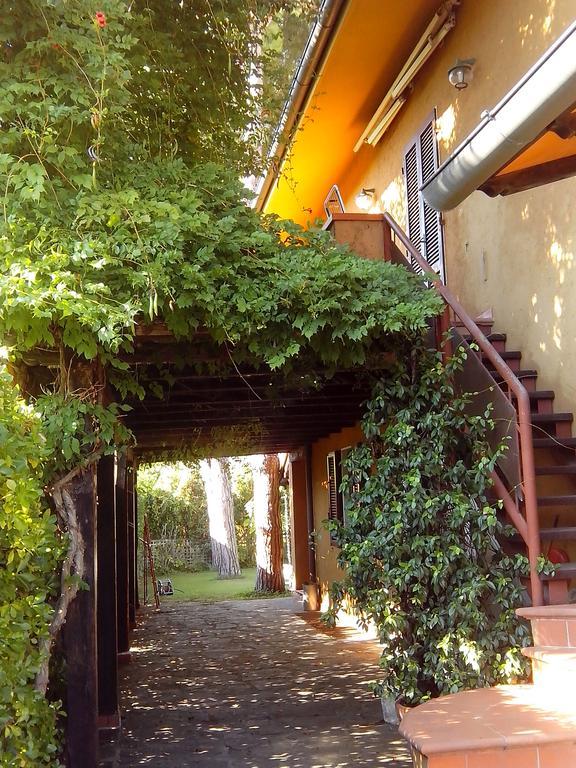 Il Gelsomino Villa Forte dei Marmi Exterior foto