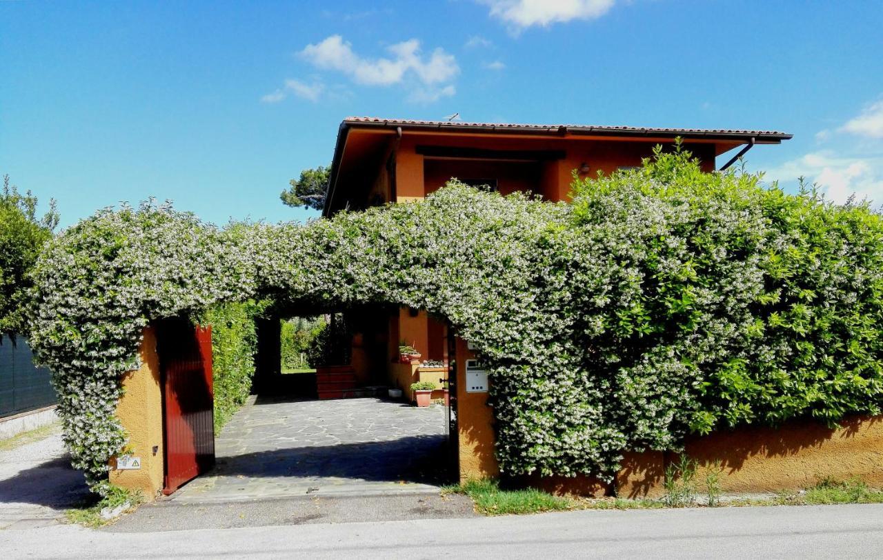 Il Gelsomino Villa Forte dei Marmi Exterior foto