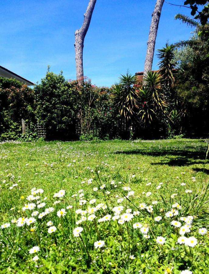 Il Gelsomino Villa Forte dei Marmi Exterior foto